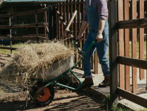 Farm Jobs in Canada 2026 – Seasonal Work & Free Housing